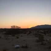 Review photo of Cottonwood Campground — Joshua Tree National Park by Stephanie Z., August 29, 2016