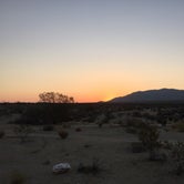 Review photo of Cottonwood Campground — Joshua Tree National Park by Stephanie Z., August 29, 2016