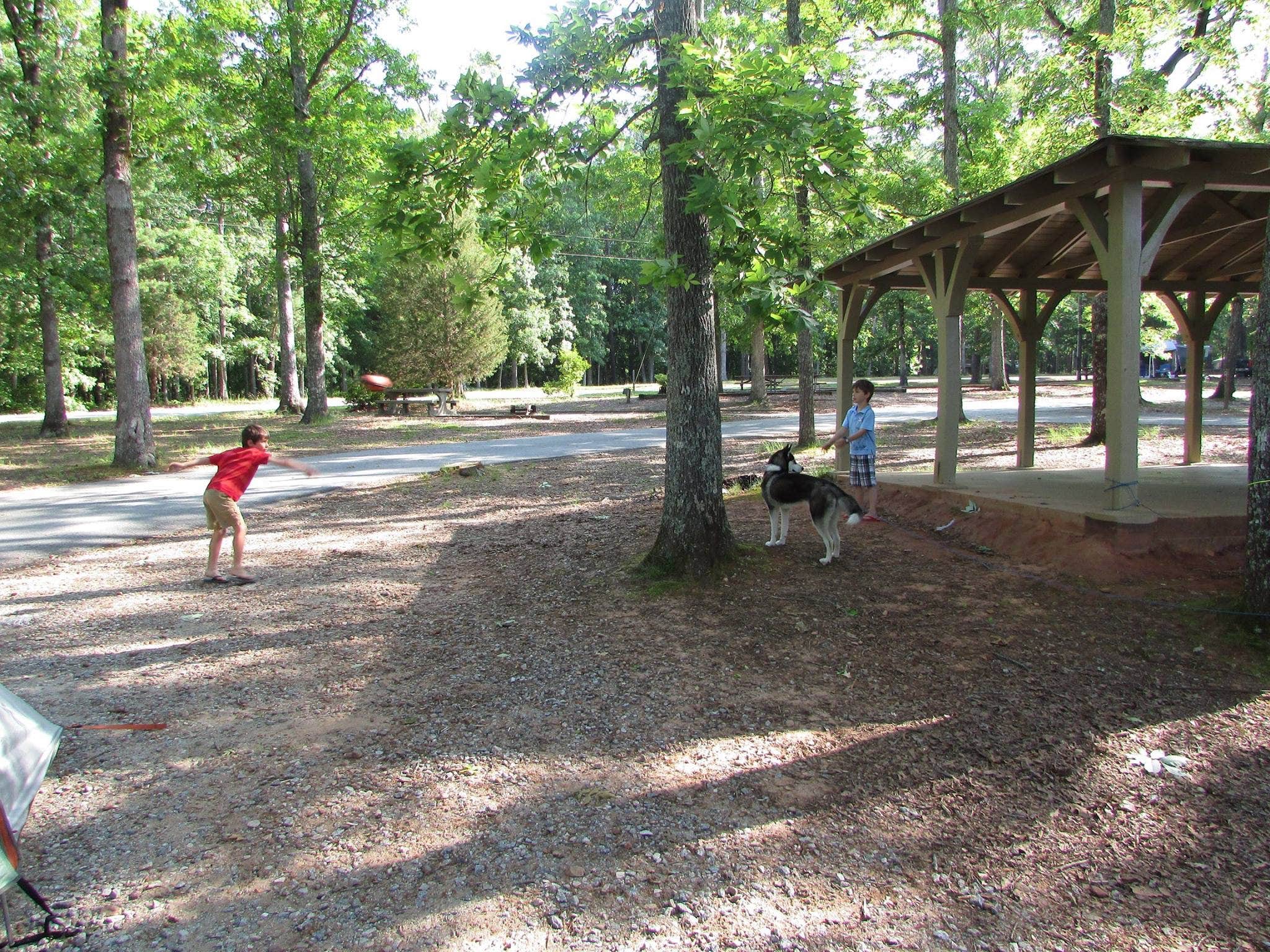 Sonyia W.'s photo of camping with pets at Franklin D Roosevelt State Park Campground near Waverly Hall, GA