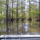 Review photo of Reelfoot Lake State Park Campgrounds by Jennifer K., May 3, 2019