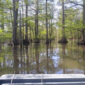 Review photo of Reelfoot Lake State Park Campground by Jennifer K., May 3, 2019