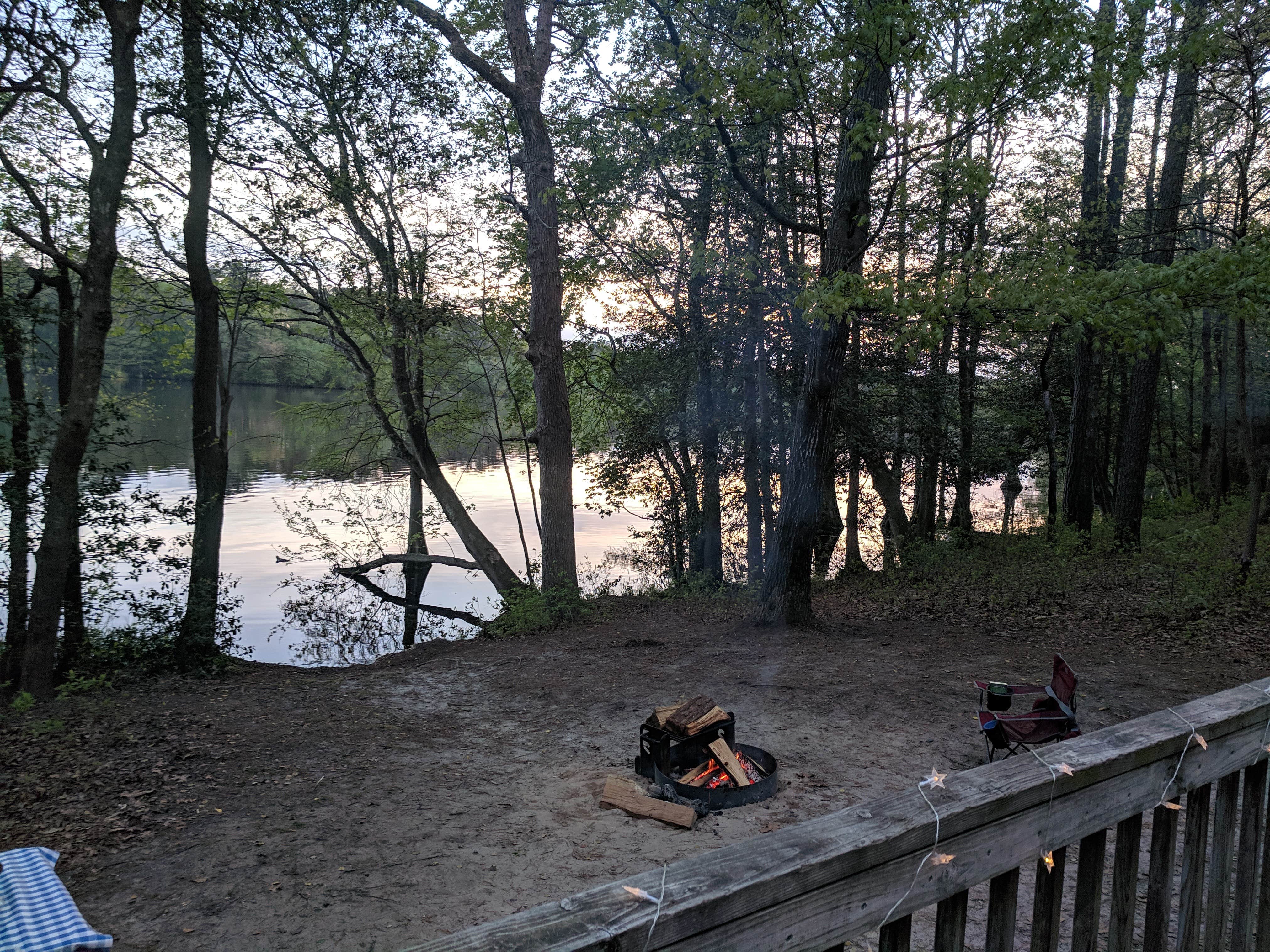 Camper submitted image from Trap Pond State Park Campground - 4