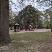 Review photo of Trap Pond State Park Campground by Phinon W., May 3, 2019