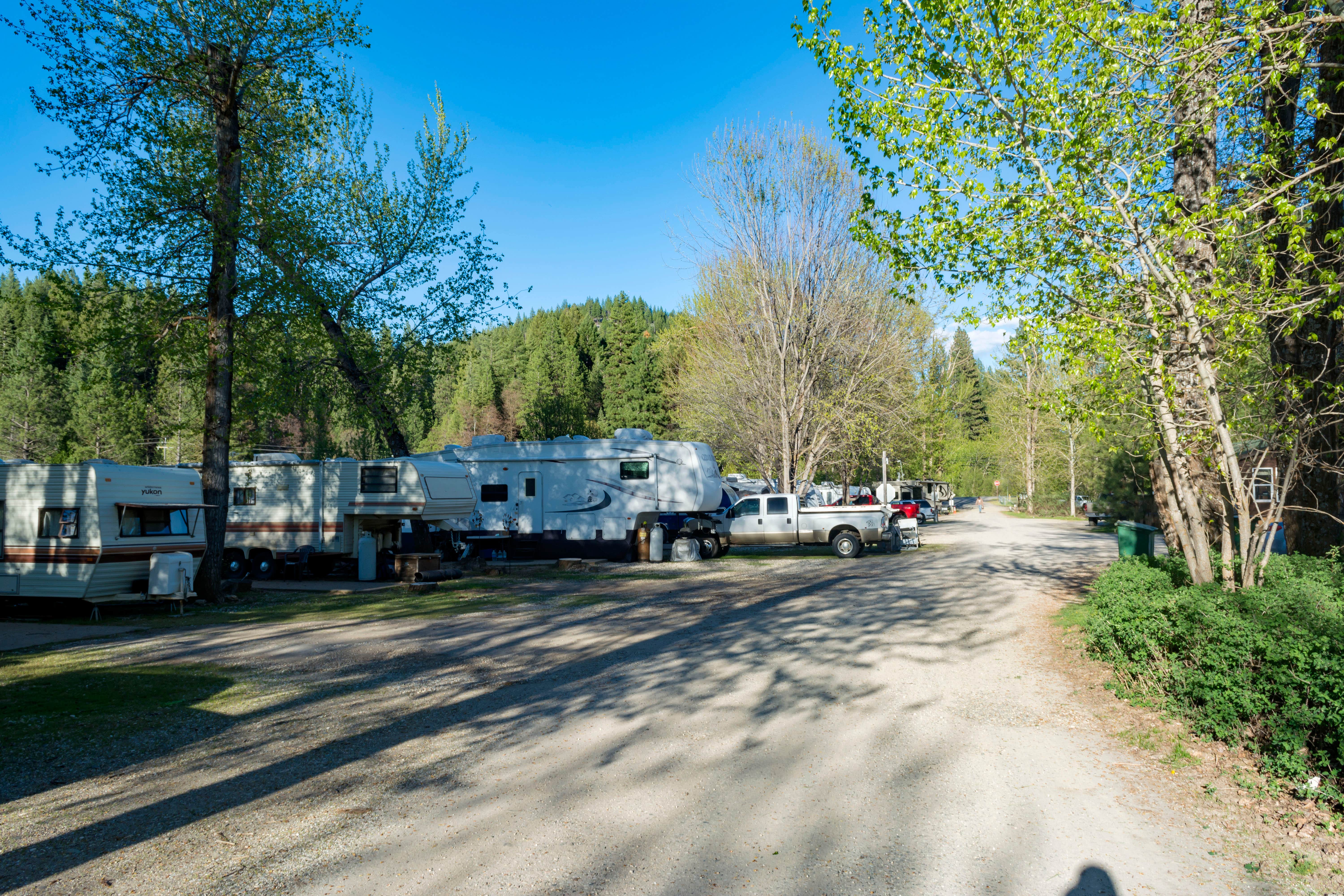 Dayne L.'s photo of rv camping at River Ranch RV Park near Calpine, CA