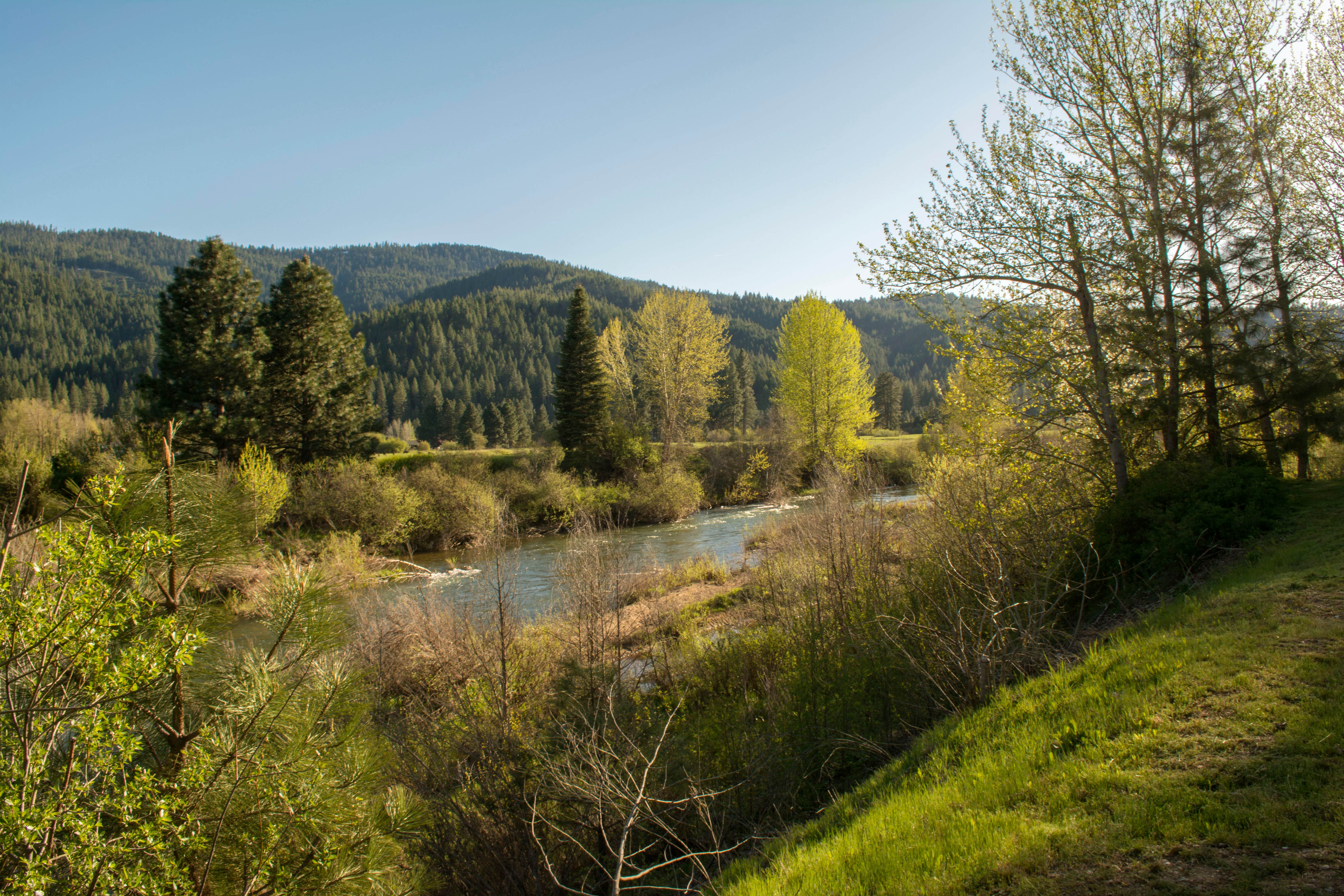 Camping near Plumas National Forest Hallsted Campground: River Ranch RV Park, Quincy, California