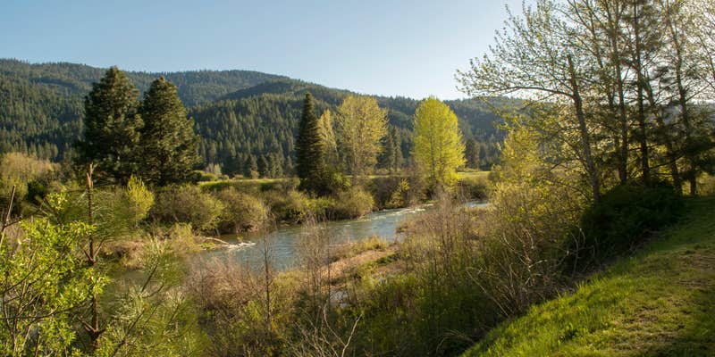 Camper submitted image from River Ranch RV Park