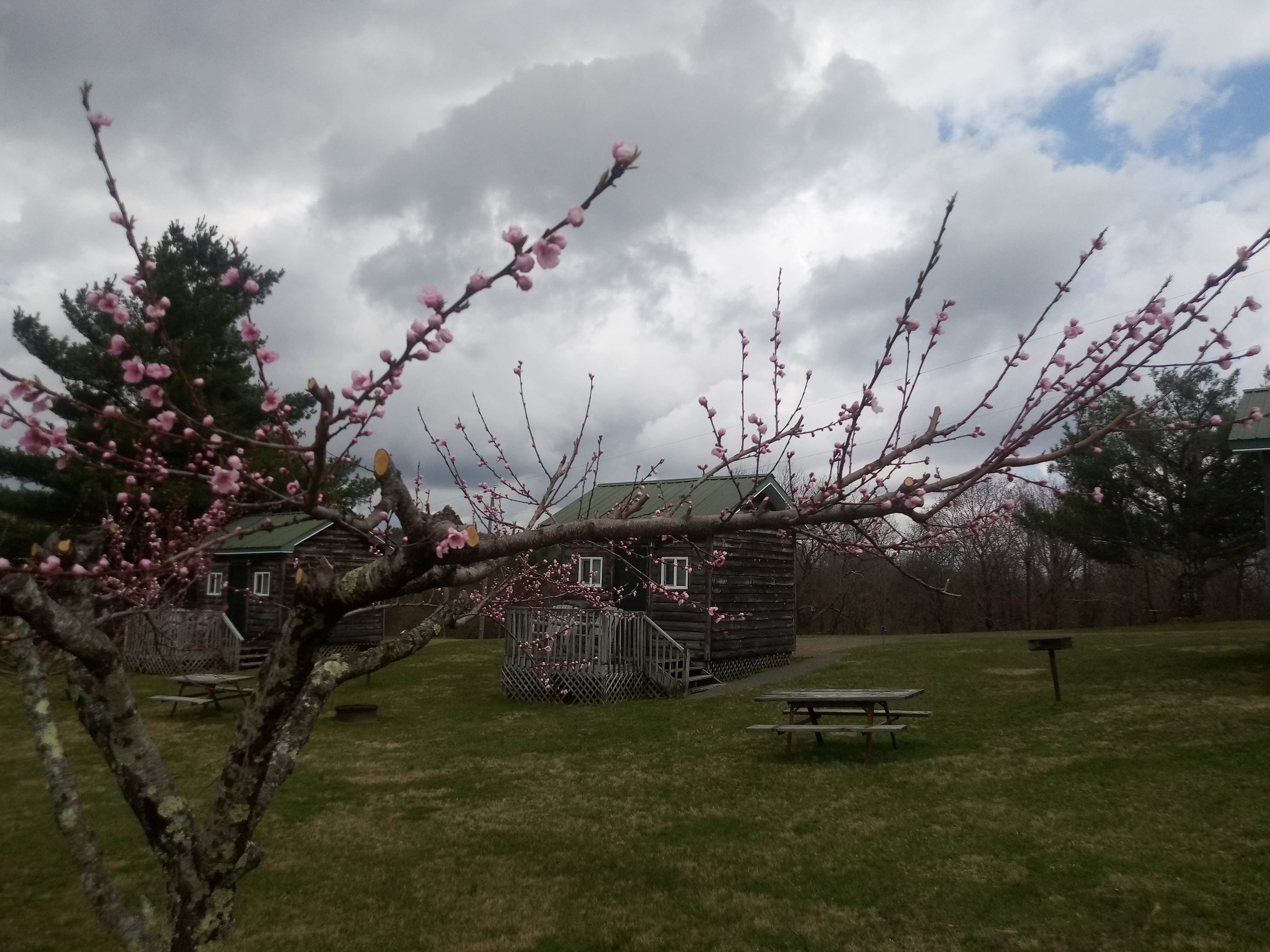 Camper-submitted photo at Fancy Gap Cabins and Campground near Draper, VA