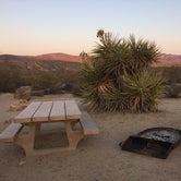 Review photo of Cottonwood Campground — Joshua Tree National Park by Stephanie Z., August 29, 2016