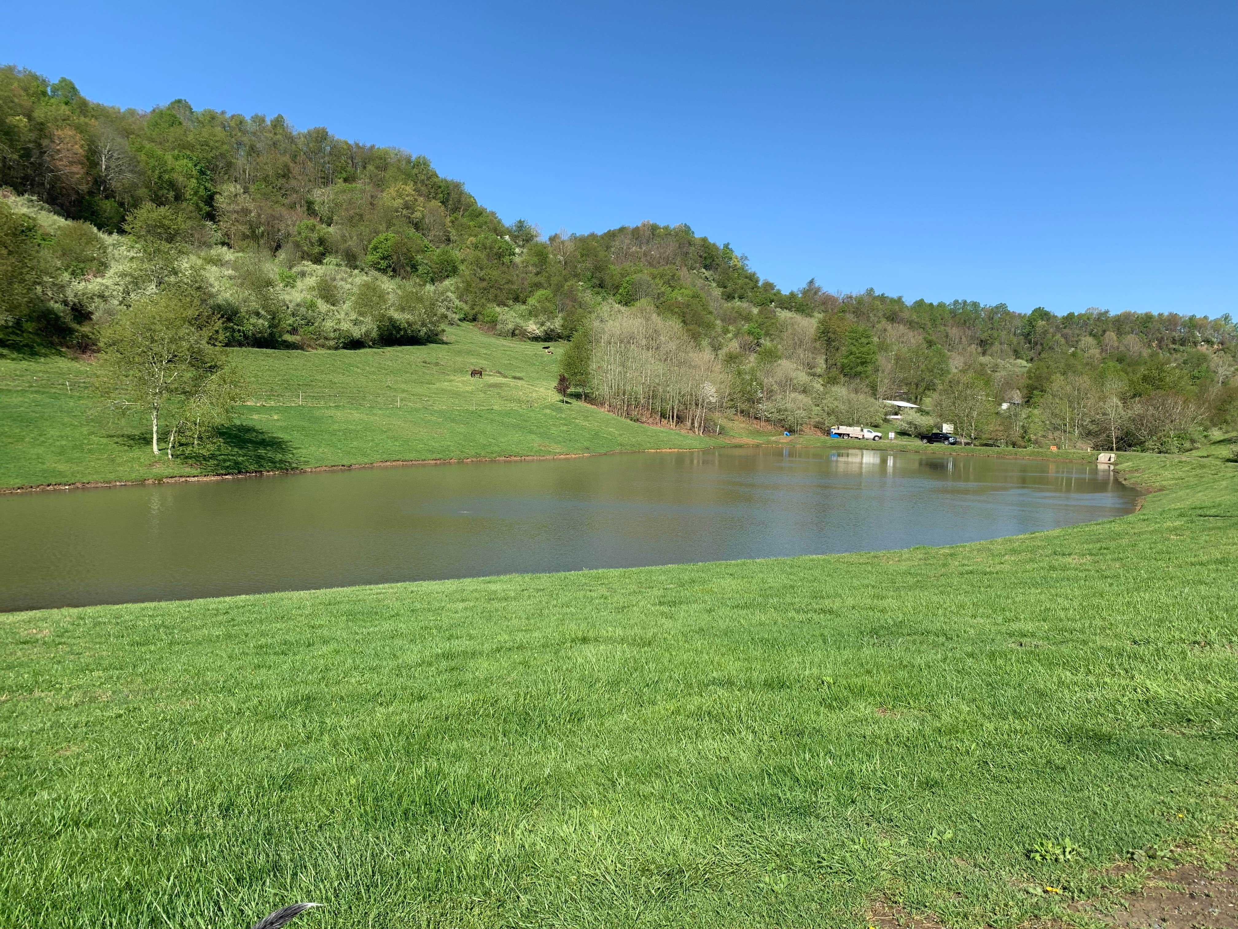 Camper-submitted photo at Family Fishing N' Camping near Fairmont, WV