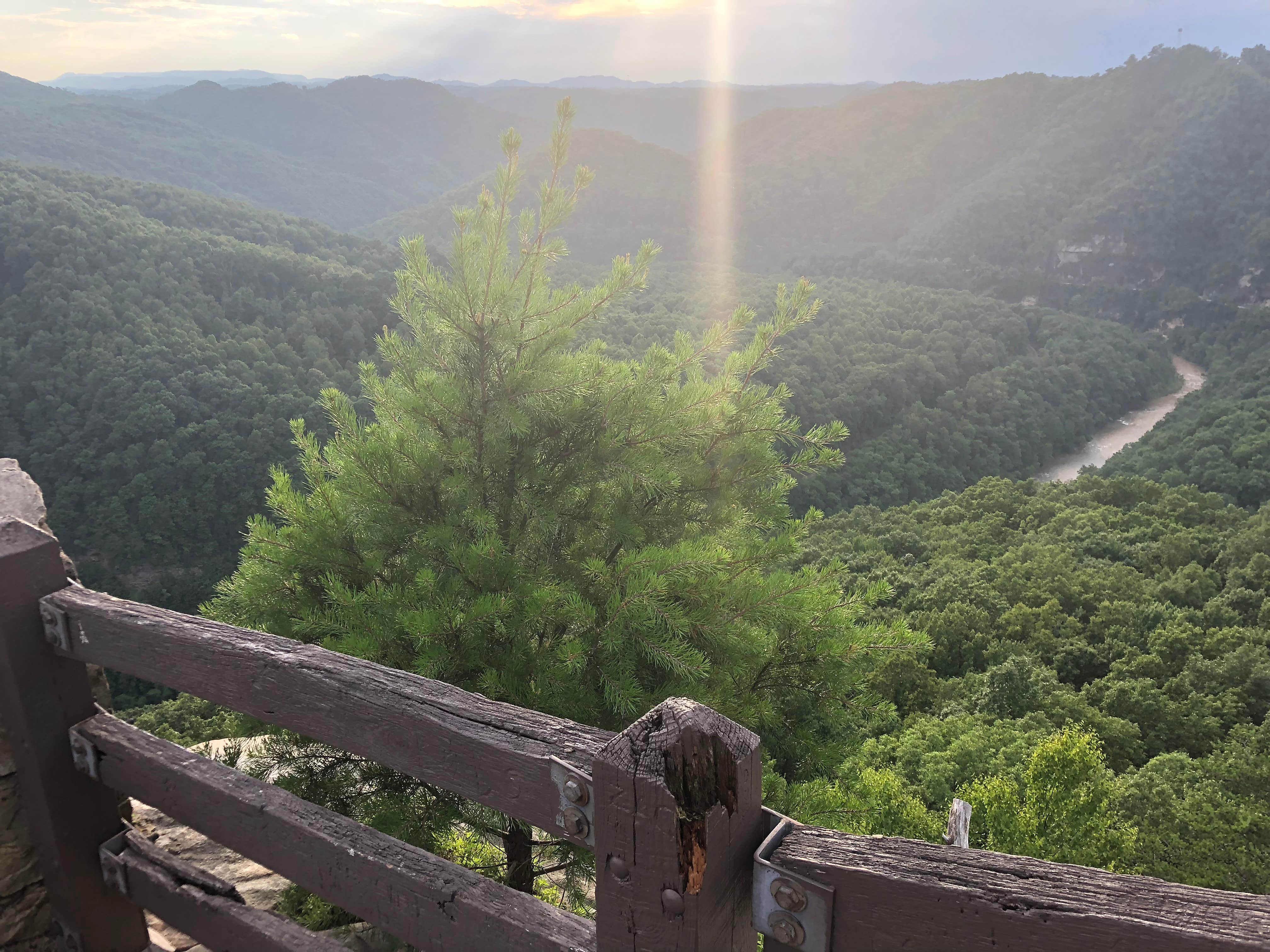 Camper submitted image from Breaks Interstate Park Campground - 5