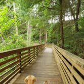 Review photo of Cape Disappointment State Park Campground by Rochelle S., May 4, 2019