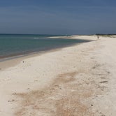 Review photo of Dr. Julian G. Bruce St. George Island State Park Campground by Suzie F., May 4, 2019