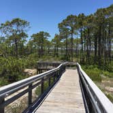 Review photo of Dr. Julian G. Bruce St. George Island State Park Campground by Suzie F., May 4, 2019