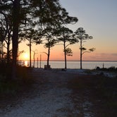 Review photo of Dr. Julian G. Bruce St. George Island State Park Campground by Suzie F., May 4, 2019