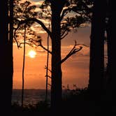 Review photo of Dr. Julian G. Bruce St. George Island State Park Campground by Suzie F., May 4, 2019