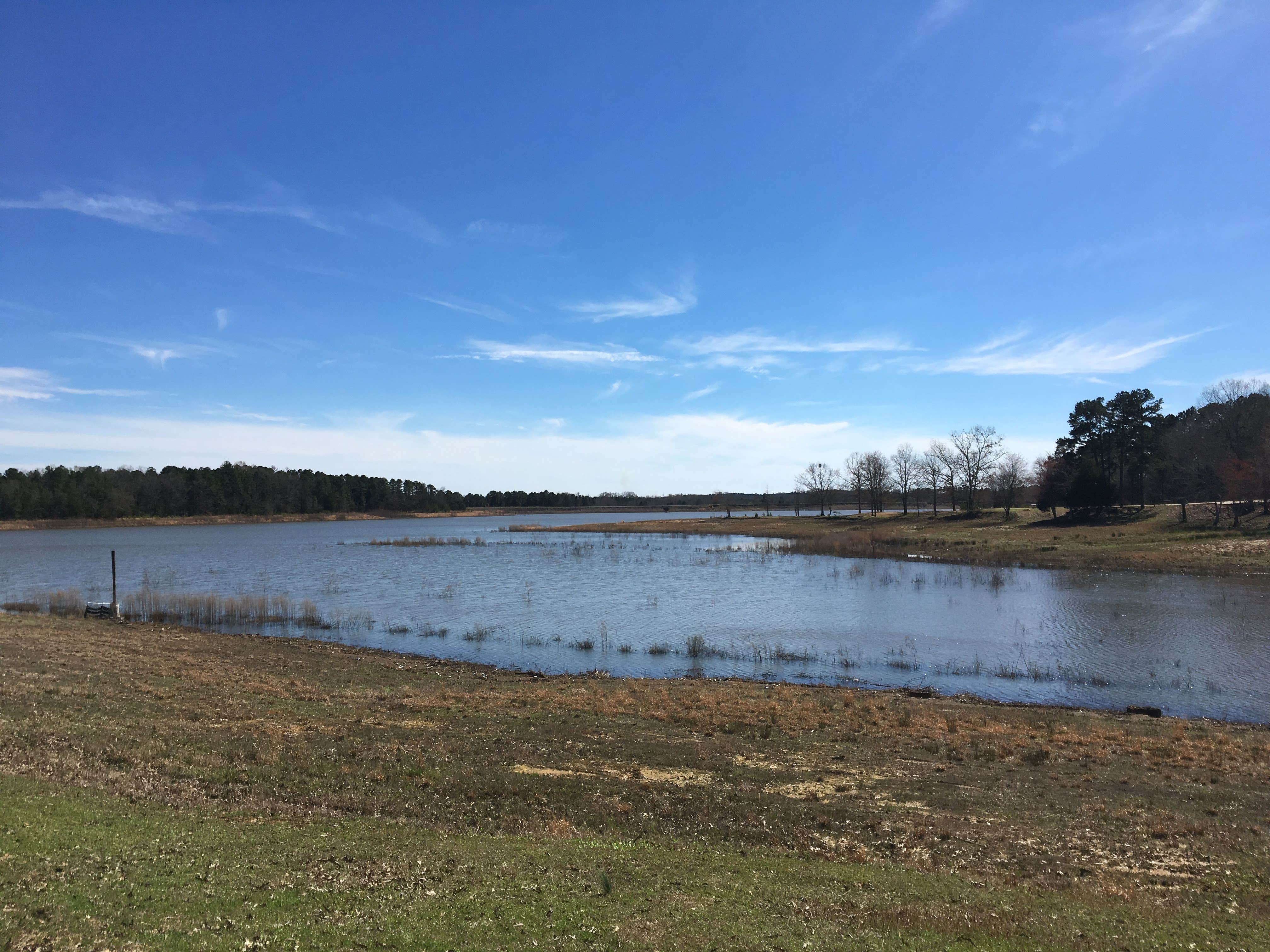 View of the lake from across our site.