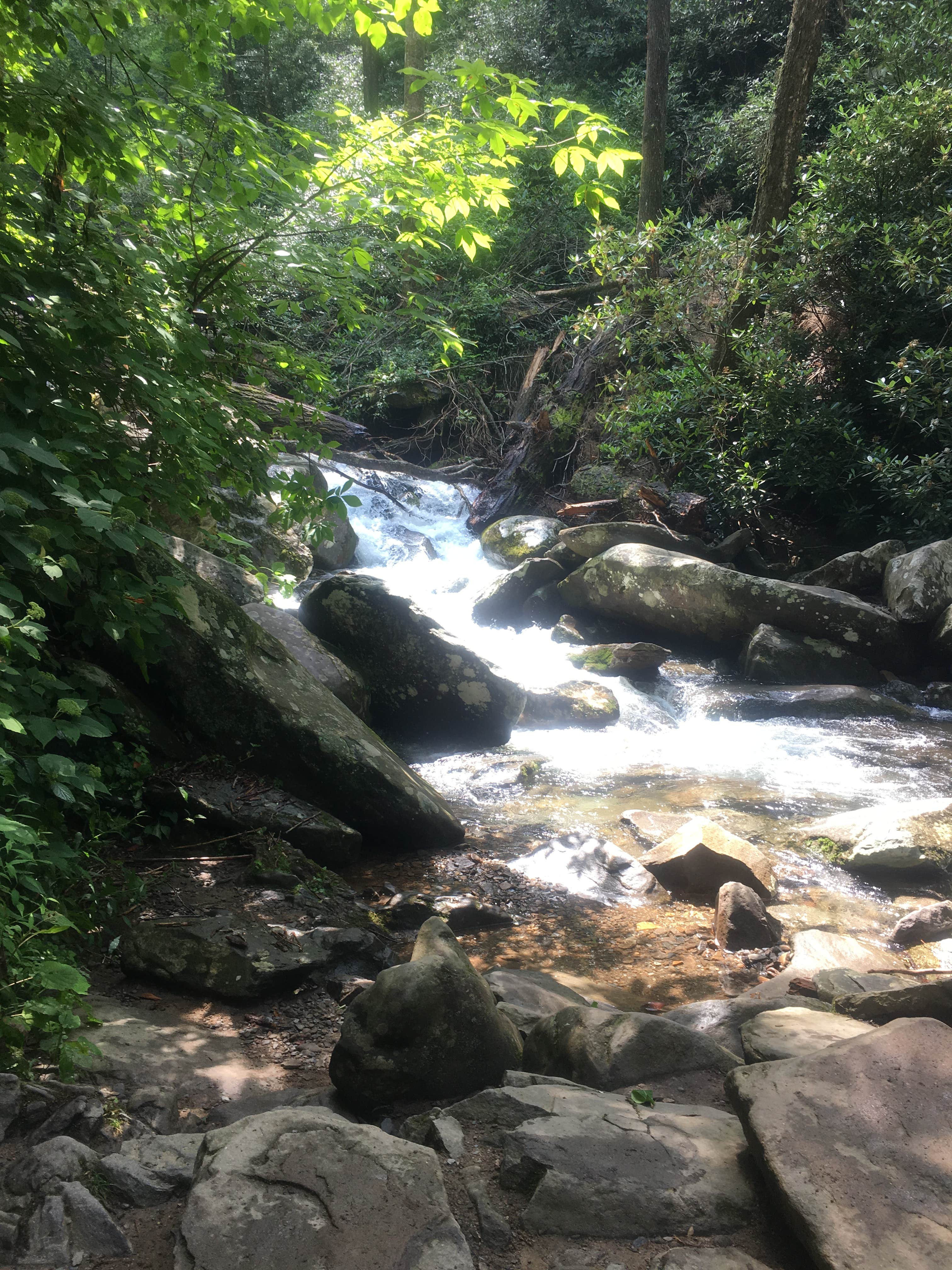 Camper-submitted photo at Guadalupe River RV Park and Campgrounds near Comal, TX
