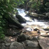 Review photo of Guadalupe River RV Park and Campgrounds by Carrie J., August 29, 2016