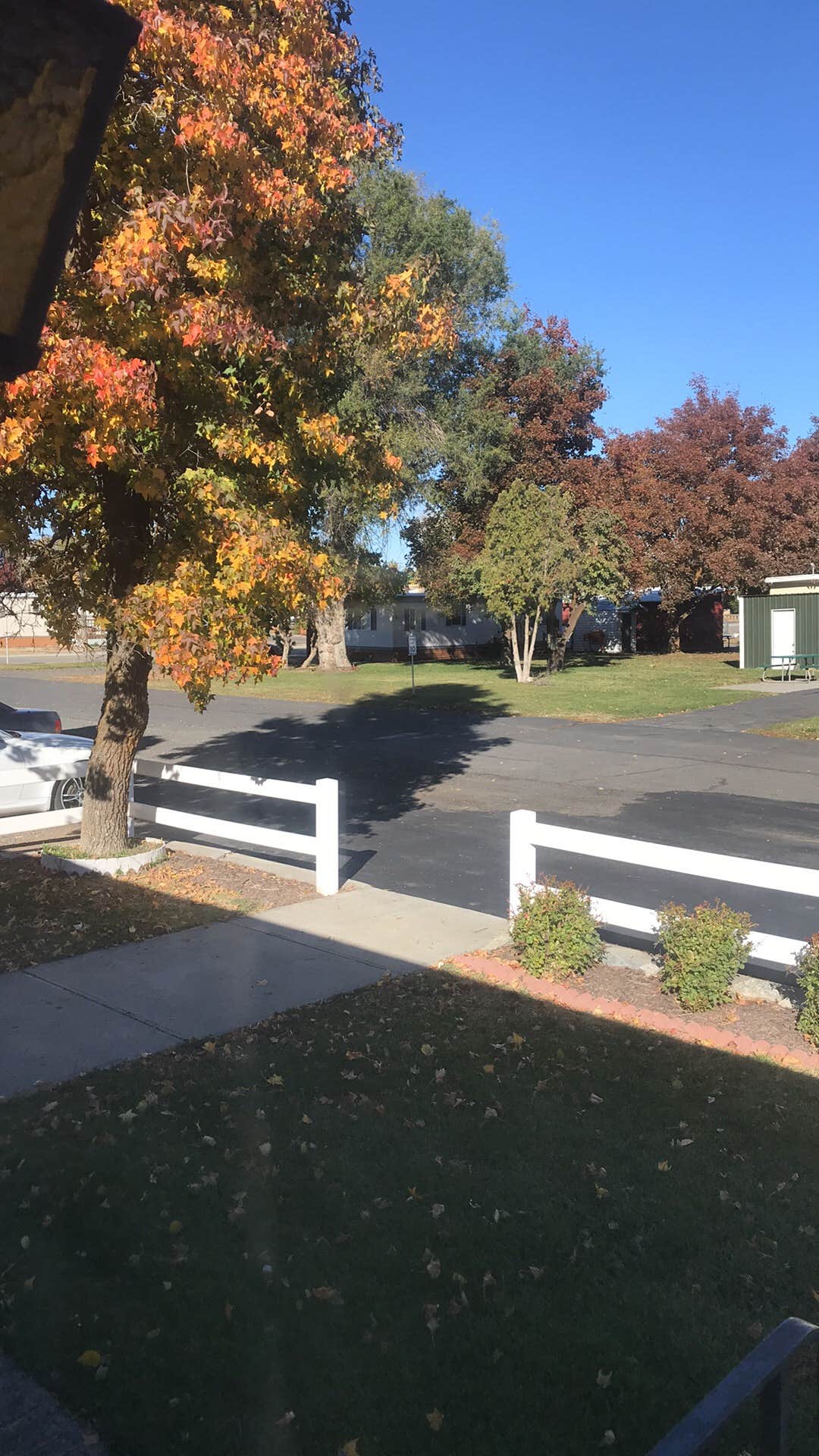 Camper submitted image from Goose Creek RV Park & Campground - 4
