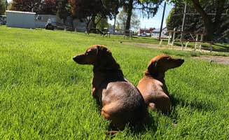 Debbie R.'s photo of camping with pets at Goose Creek RV Park & Campground near Davenport, WA