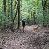 Review photo of Trackrock Campground & Cabins by Suzie F., May 4, 2019