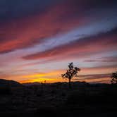 Review photo of Ryan Campground — Joshua Tree National Park by Leslie R., August 6, 2016