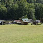 Review photo of Trackrock Campground & Cabins by Suzie F., May 4, 2019