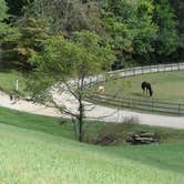 Review photo of Trackrock Campground & Cabins by Suzie F., May 4, 2019