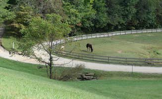 Suzie F.'s photo of camping with a horse at Trackrock Campground & Cabins near Helen, GA