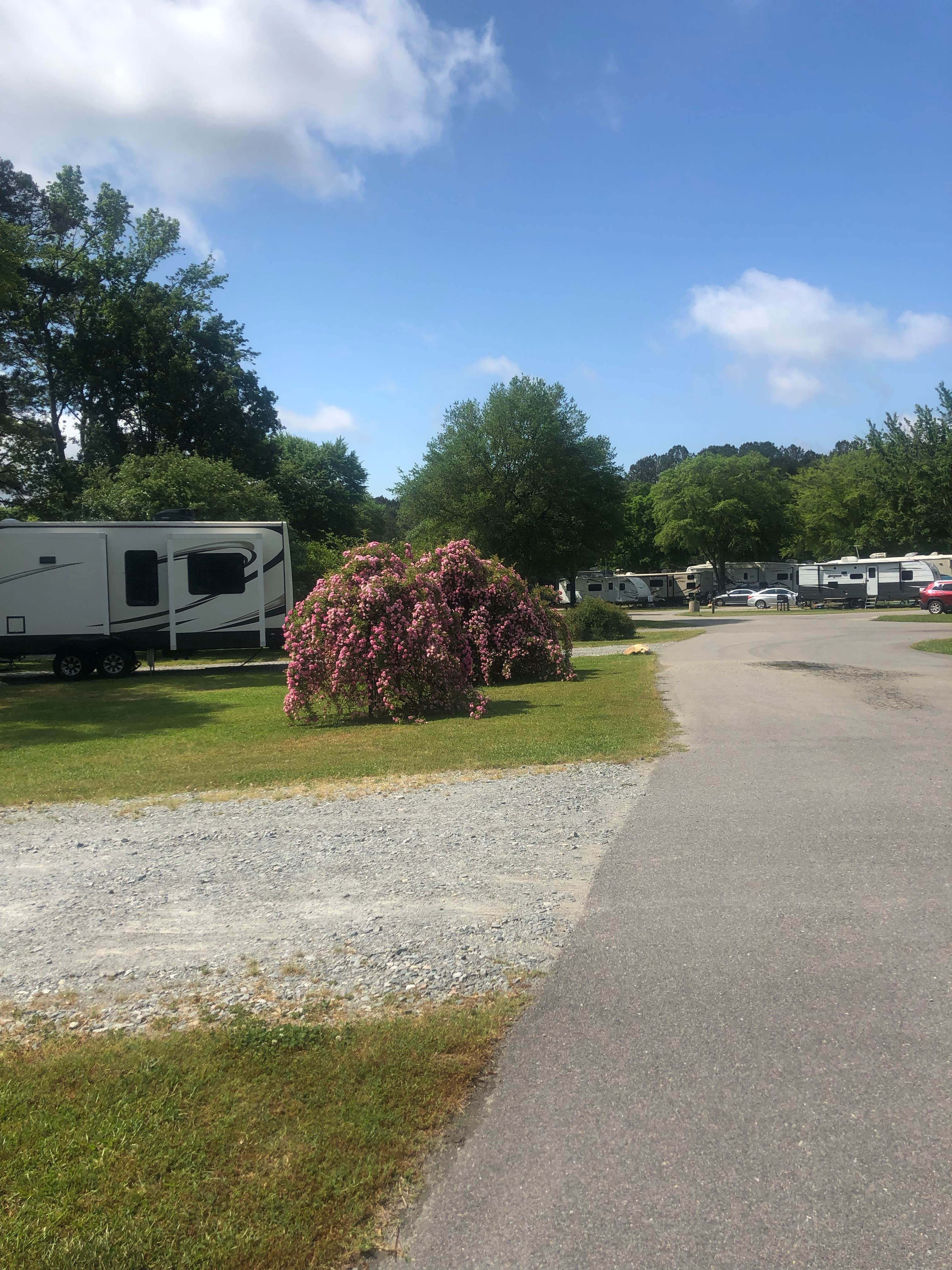 Herb B.'s photo of rv camping at RVacation Campground near Zebulon, NC