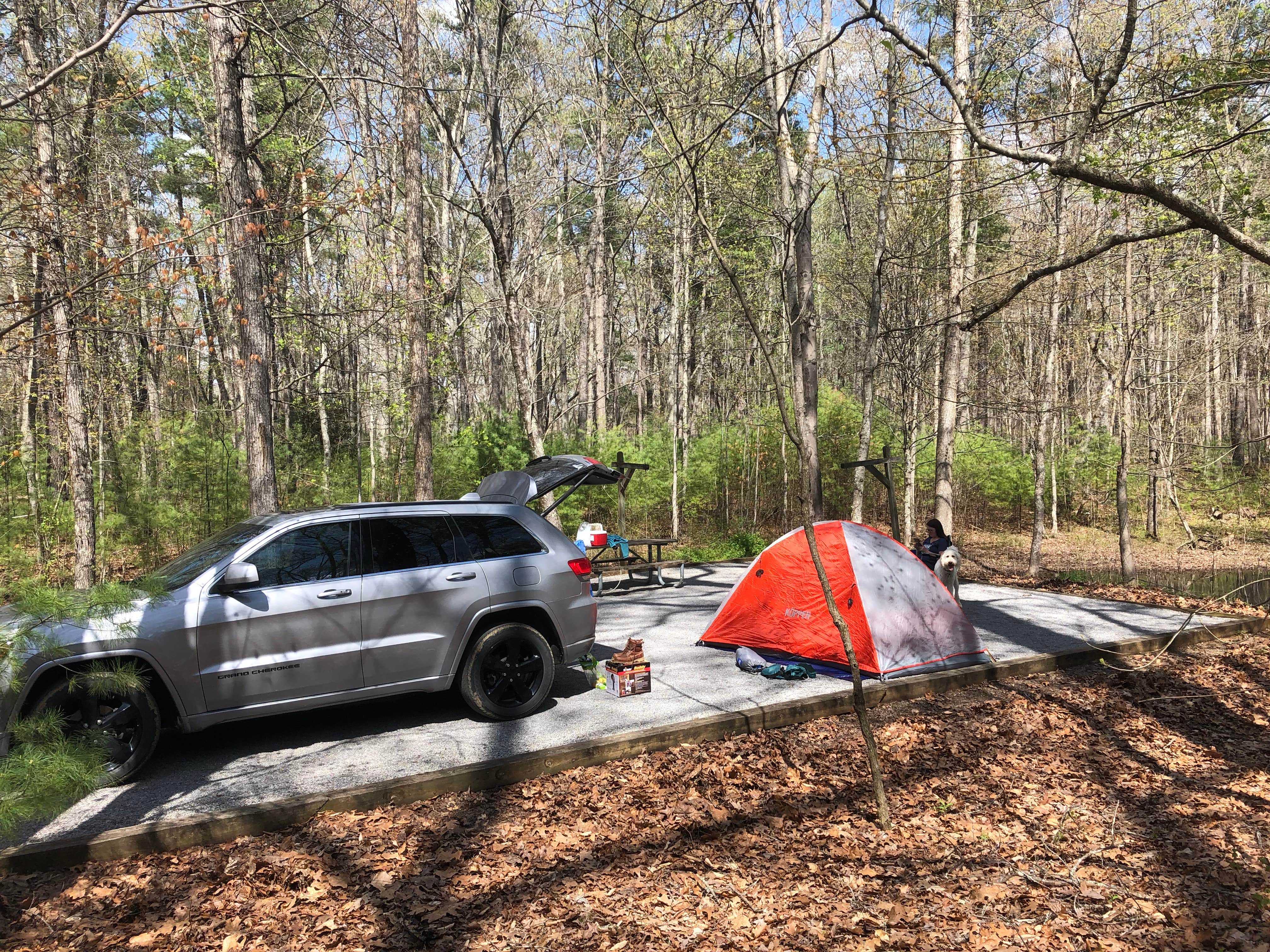 Brandon W.'s photo at Claytor Lake State Park Campground near Pearisburg, VA