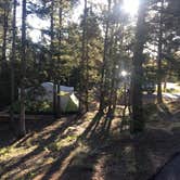 Review photo of Mueller State Park Campground by Andrea K., May 4, 2019