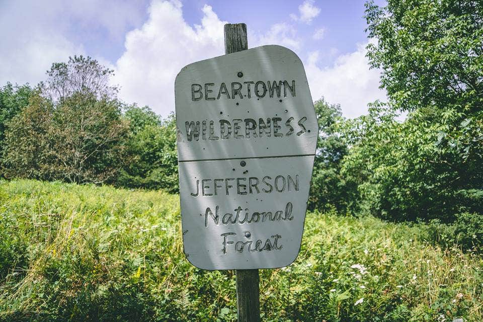 Camper-submitted photo at Chestnut Knob Shelter, Appalachian Trail near Max Meadows, VA