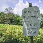 Review photo of Chestnut Knob Shelter, Appalachian Trail by Brandon W., May 4, 2019