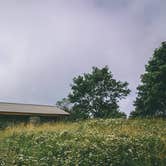 Review photo of Chestnut Knob Shelter, Appalachian Trail by Brandon W., May 4, 2019