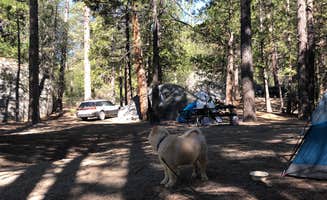 Fairen T.'s photo at Idyllwild Campground — Mount San Jacinto State Park near Anza, CA