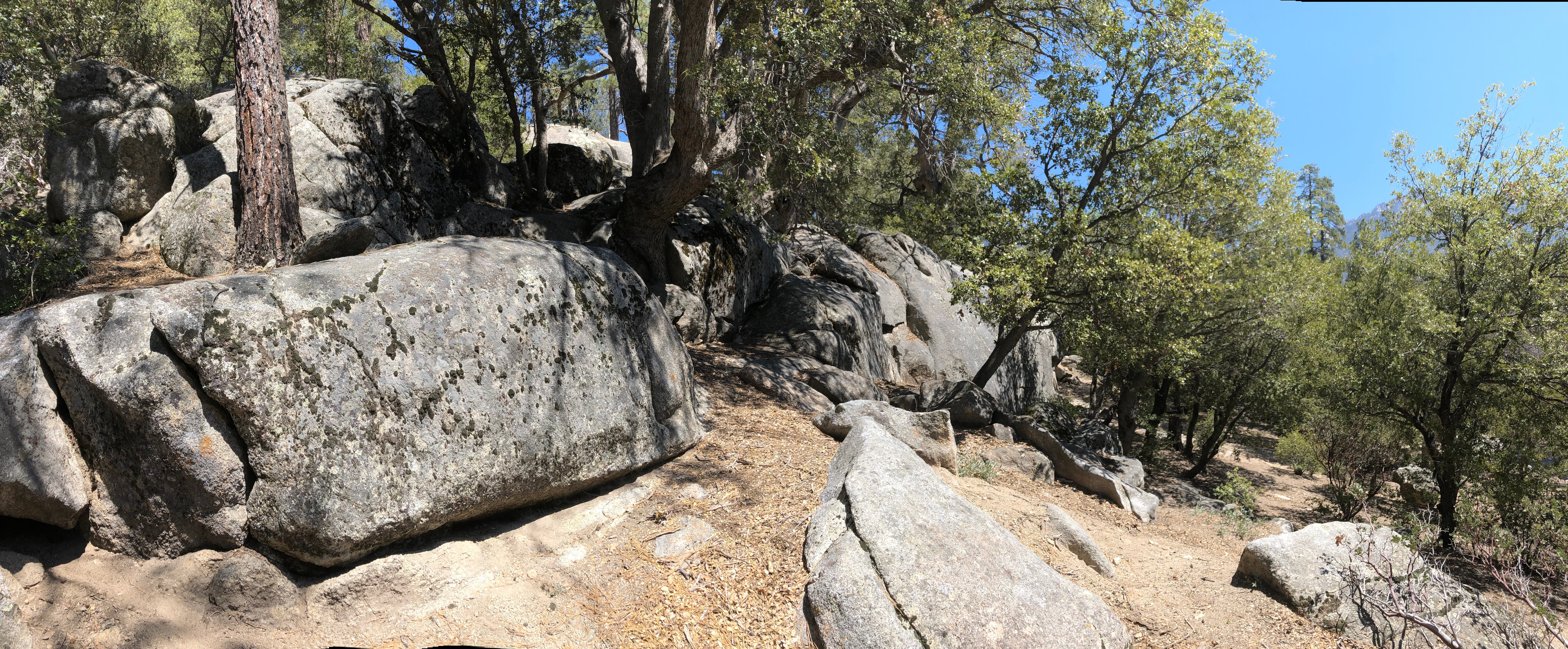 Camper submitted image from Idyllwild Campground — Mount San Jacinto State Park - 5