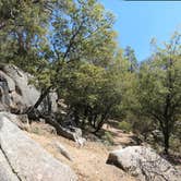 Review photo of Idyllwild Campground by Fairen T., May 4, 2019