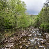 Review photo of Black Mountain / South Toe River Area by Jonathan N., May 4, 2019