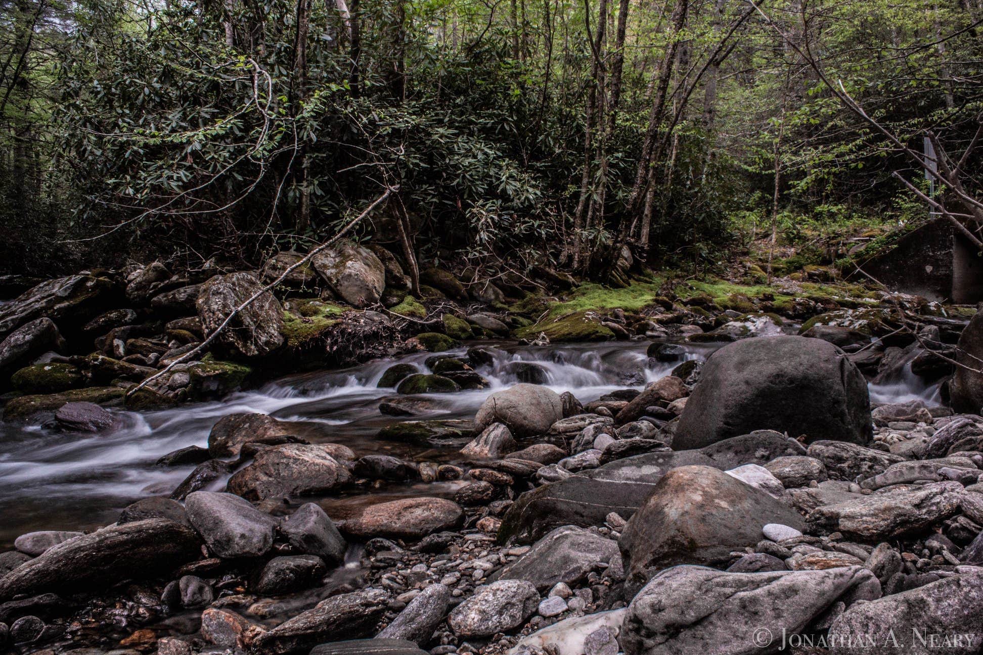 Black Mountain / South Toe River Area The Dyrt