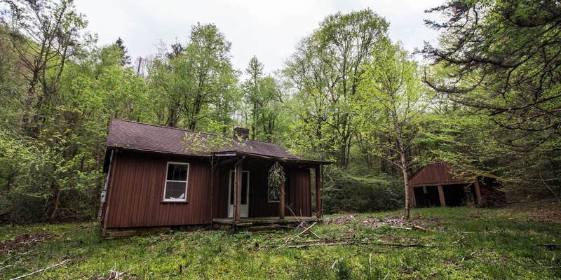 Camper submitted image from Black Mountain / South Toe River Area