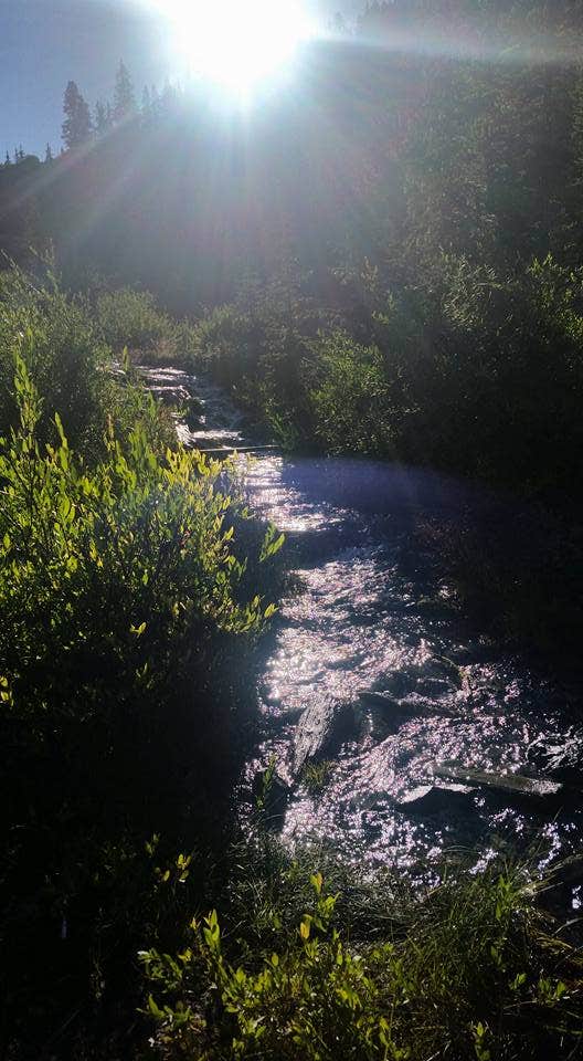 Camper submitted image from Alta Lakes Campground (Dispersed) - 2