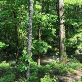 Review photo of Otter Creek Campground — Blue Ridge Parkway by Angela P., May 4, 2019