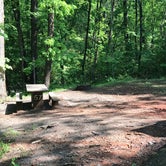 Review photo of Otter Creek Campground — Blue Ridge Parkway by Angela P., May 4, 2019