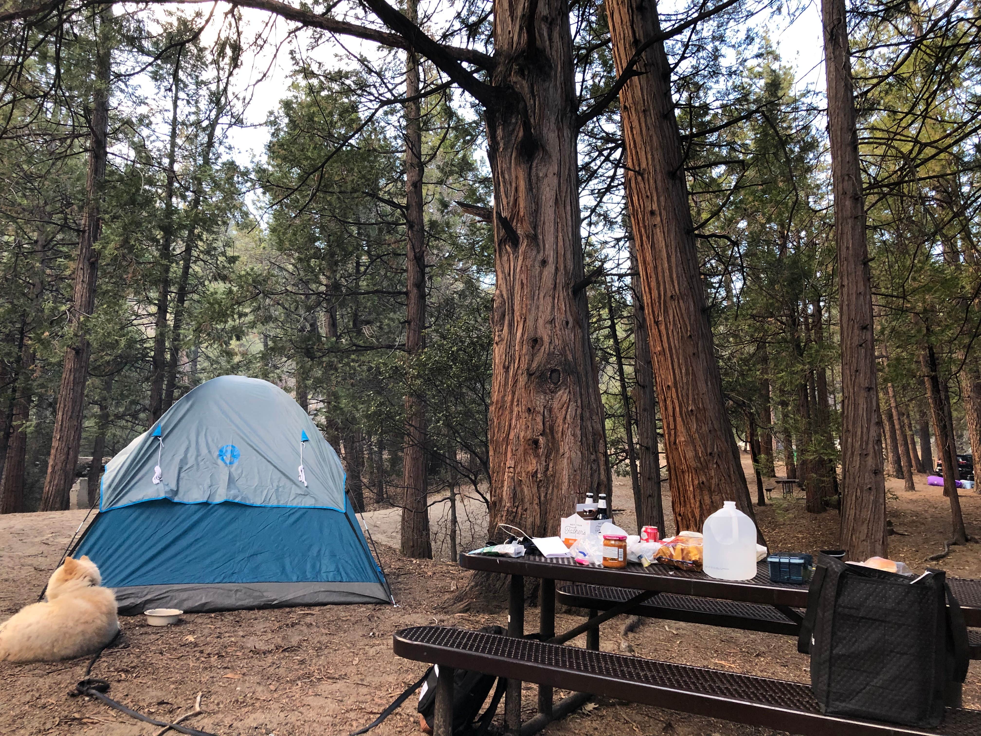 Fairen T.'s photo at Idyllwild Campground — Mount San Jacinto State Park near Anza, CA