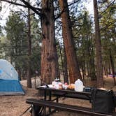 Review photo of Idyllwild Campground by Fairen T., May 4, 2019