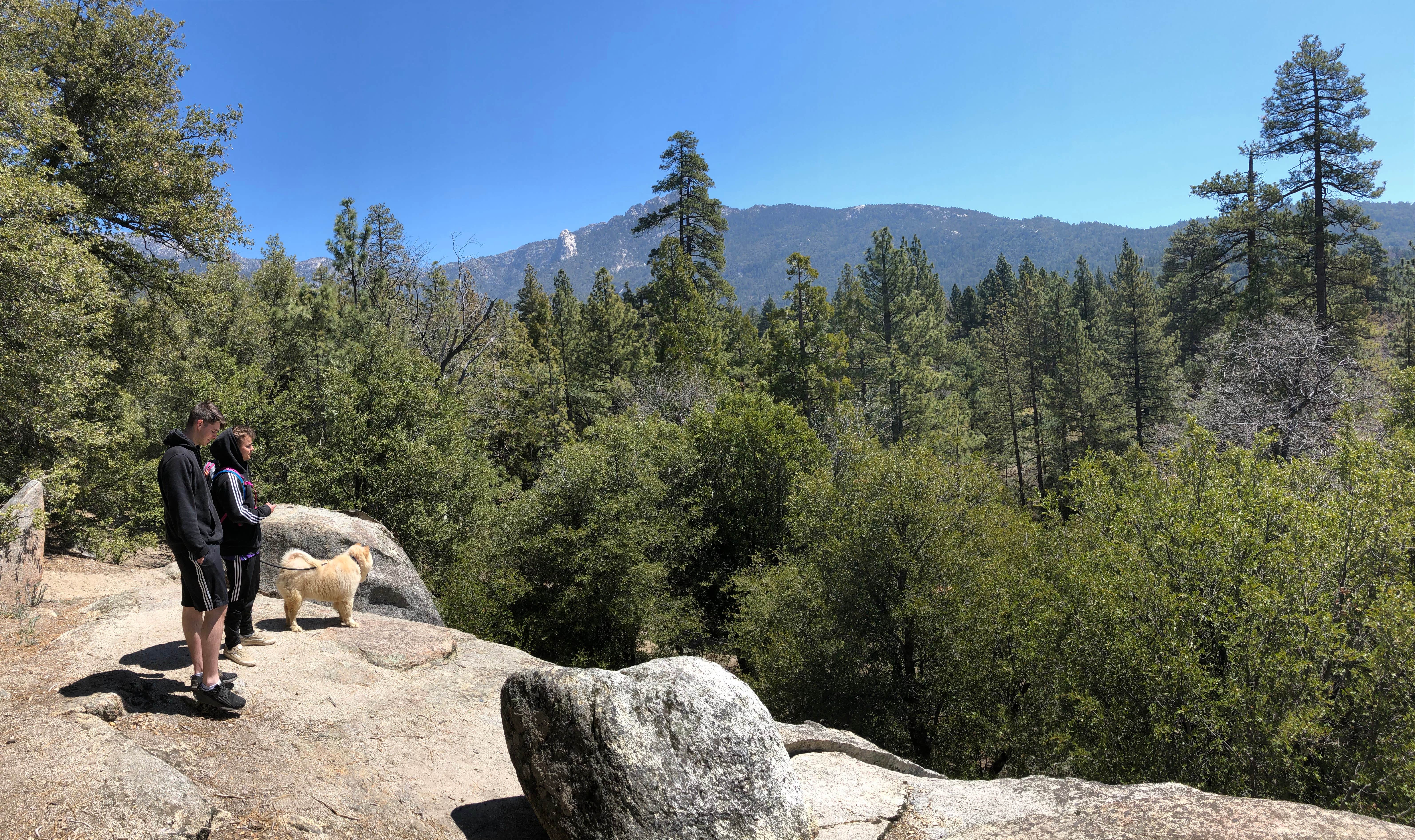 Fairen T.'s photo of camping with pets at Idyllwild Campground — Mount San Jacinto State Park near Idyllwild, CA