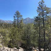 Review photo of Idyllwild Campground by Fairen T., May 4, 2019