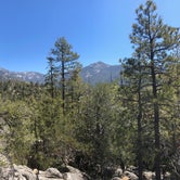 Review photo of Idyllwild Campground — Mount San Jacinto State Park by Fairen T., May 4, 2019
