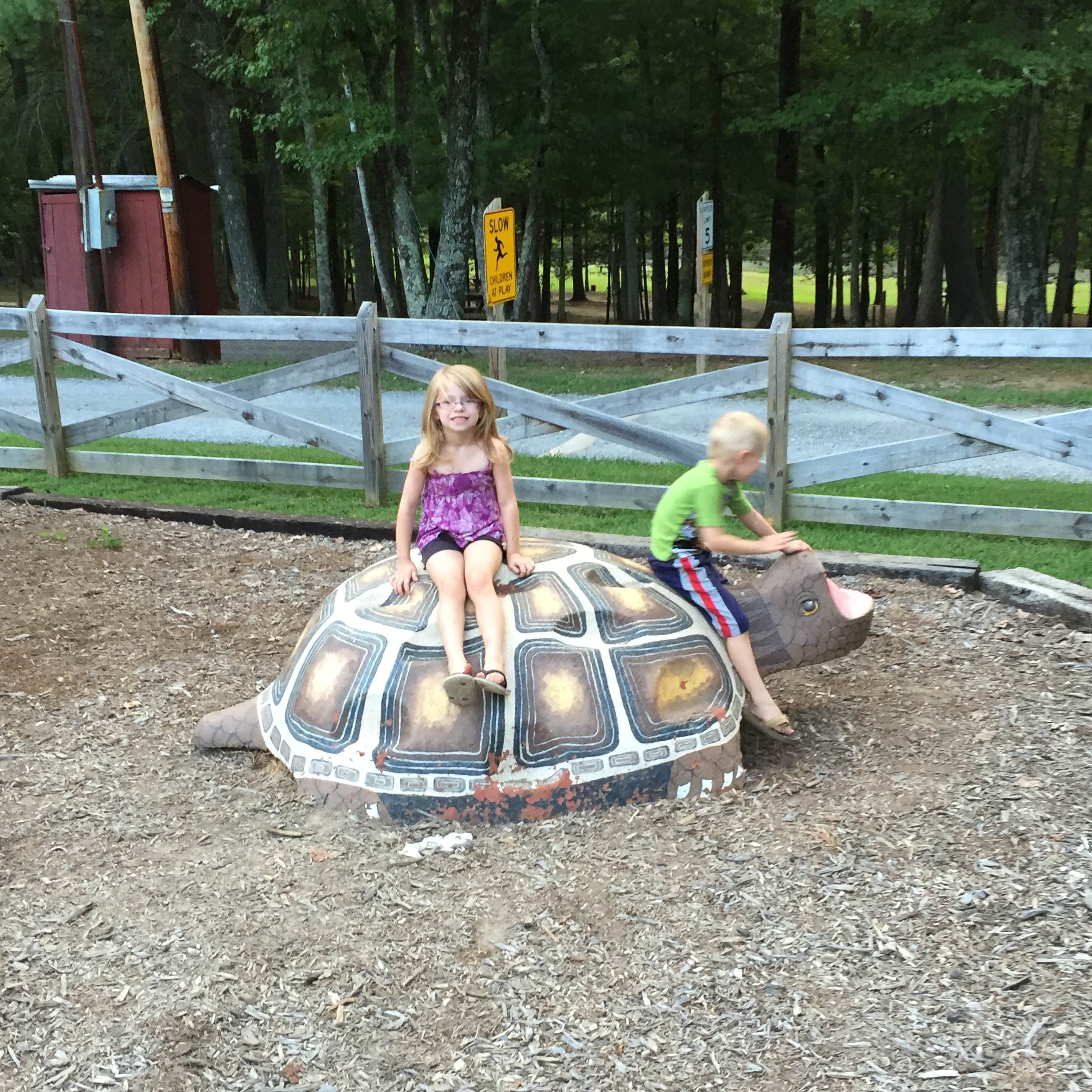 Camper submitted image from Lynchburg / Blue Ridge Parkway KOA - 5